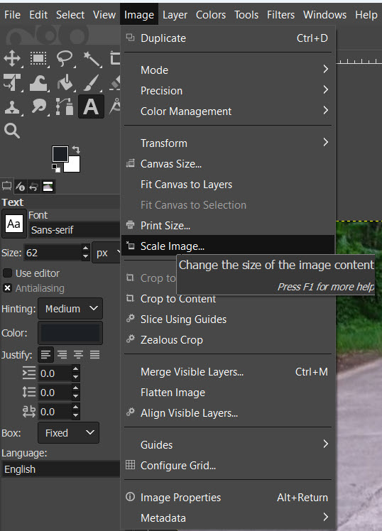 gimp1