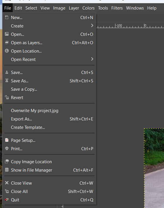 gimp3